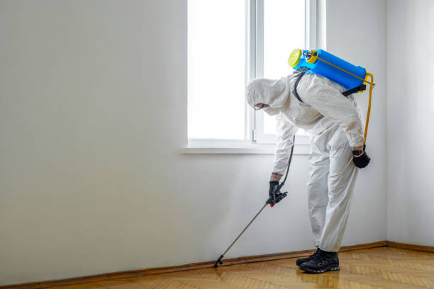 Best Affordable Pest Control Services  in Lolo, MT