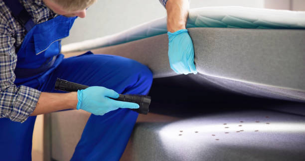 Best Best Pest Control Companies  in Lolo, MT